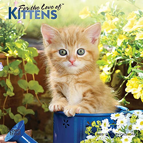 Beispielbild fr Kittens, for the Love of 2022 Mini zum Verkauf von Buchpark