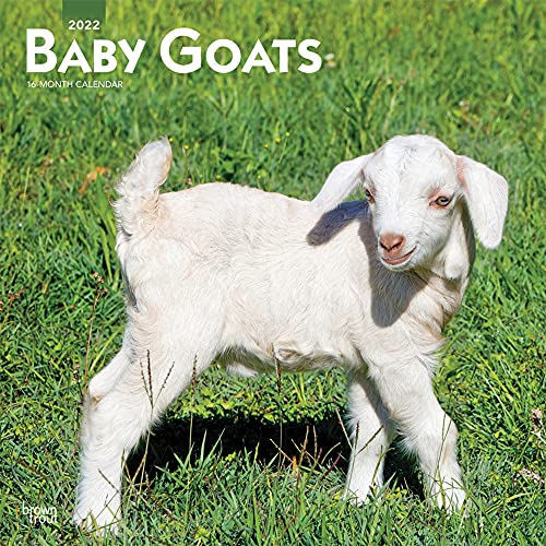 Goat Calendar 2022 9781975438418: Baby Goats Calendar 2022 -- Deluxe 2022 Goats Wall Calendar  Bundle With Over 100 Calendar Stickers (Farm Animals Gifts, Office  Supplies) - Abebooks - Browntrout Publishers Inc.: 1975438418