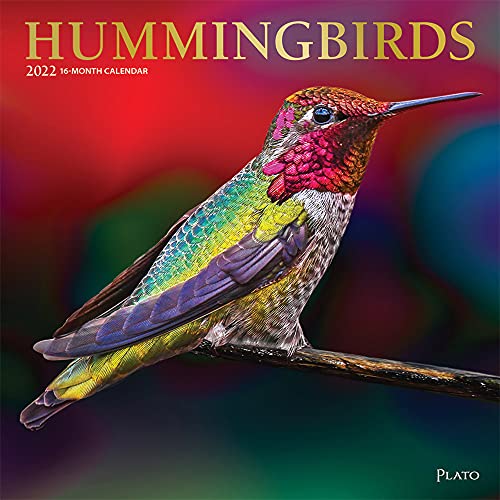 Beispielbild fr Hummingbirds 2022 12 x 12 Inch Monthly Square Wall Calendar with zum Verkauf von Hawking Books