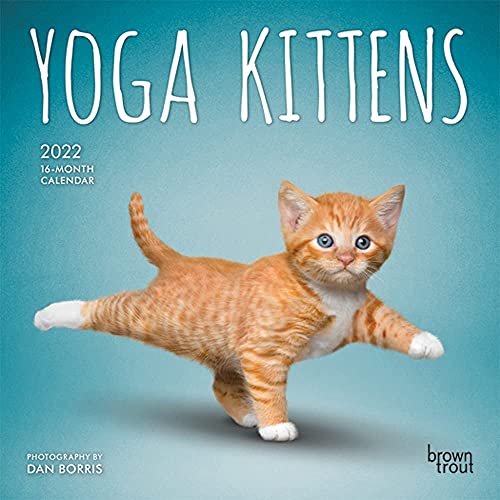 Beispielbild fr Yoga Kittens OFFICIAL 2022 7 x 7 Inch Monthly Mini Wall Calendar, Animals Humor Cats Feline zum Verkauf von WorldofBooks
