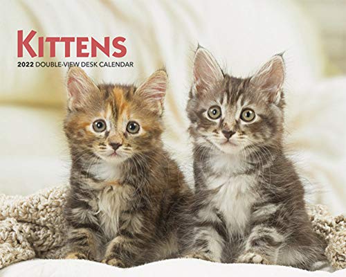 Beispielbild fr Kittens 2022 7.5 x 6 Inch Monthly Double View Easel Calendar, Animals Cats Feline zum Verkauf von GF Books, Inc.
