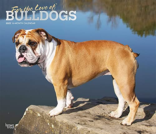 Beispielbild fr For the Love of Bulldogs 2022 14 x 12 Inch Monthly Deluxe Wall Calendar with Foil Stamped Cover, Animal Dog Breeds DogDays zum Verkauf von Big River Books