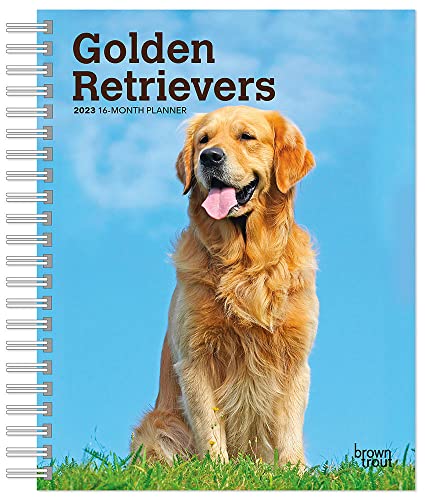 Stock image for Golden Retrievers | 2023 6 x 7.75 Inch Spiral-Bound Wire-O Weekly Engagement Planner Calendar | New Full-Color Image Every Week | BrownTrout | Animals Dog Breeds Pets for sale by Blue Vase Books