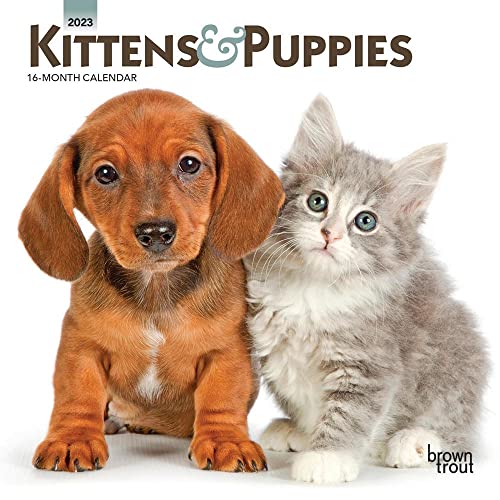 Kittens & Puppies | 2023 7 x 14...