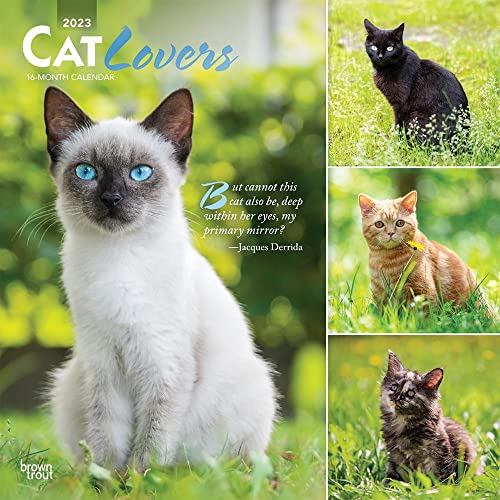 Imagen de archivo de Cat Lovers | 2023 12 x 24 Inch Monthly Square Wall Calendar | Foil Stamped Cover | BrownTrout | Animals Domestic Kittens Feline a la venta por BooksRun