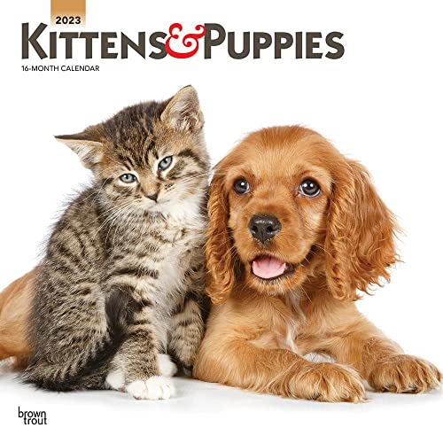 

Kittens & Puppies | 2023 12 x 24 Inch Monthly Square Wall Calendar | Foil Stamped Cover | BrownTrout | Animals Cute Cats Dogs