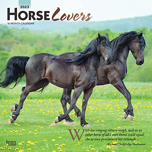 9781975449032: Horse Lovers | 2023 12 x 24 Inch Monthly Square Wall Calendar | Foil Stamped Cover | BrownTrout | Animals Equestrian