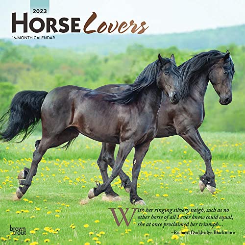 Stock image for Horse Lovers | 2023 12 x 24 Inch Monthly Square Wall Calendar | Foil Stamped Cover | BrownTrout | Animals Equestrian for sale by BooksRun