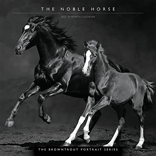Beispielbild fr The BrownTrout Portrait Series: The Noble Horse | 2023 12 x 24 Inch Monthly Square Wall Calendar | Pets Equestrian zum Verkauf von BooksRun