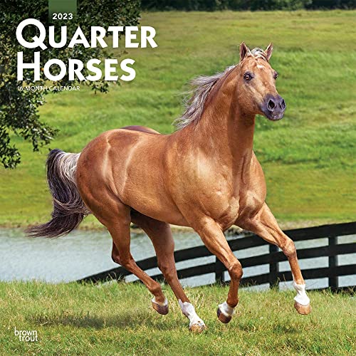 Imagen de archivo de Quarter Horses | 2023 12 x 24 Inch Monthly Square Wall Calendar | BrownTrout | Animals Equestrian a la venta por BooksRun