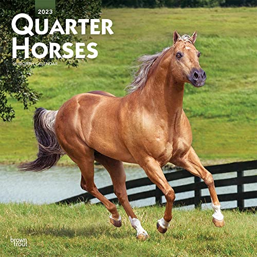 Stock image for Quarter Horses | 2023 12 x 24 Inch Monthly Square Wall Calendar | BrownTrout | Animals Equestrian for sale by BooksRun
