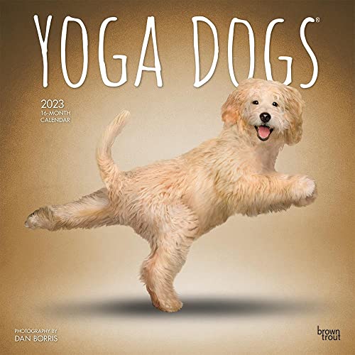 Yoga Dogs OFFICIAL | 2023 12 x 24 Inch Monthly Square Wall Calendar | BrownTrout | Animals Humor Pets