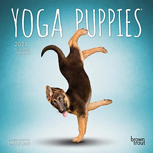 Imagen de archivo de Yoga Puppies OFFICIAL | 2023 7 x 14 Inch Monthly Mini Wall Calendar | BrownTrout | Animals Humor Puppy Dogs Canine a la venta por WorldofBooks