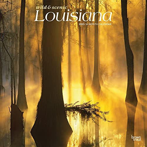 Stock image for Louisiana Wild & Scenic | 2023 12 x 24 Inch Monthly Square Wall Calendar | BrownTrout | USA United States of America Southeast State Nature for sale by Revaluation Books