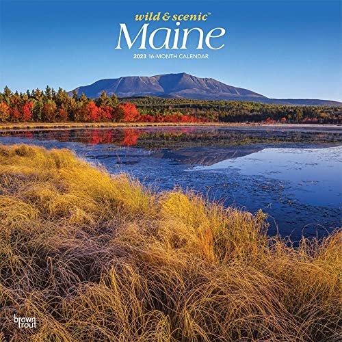 Maine Wild & Scenic | 2023 12 x 24 Inch Monthly Square Wall Calendar | BrownTrout | USA United States of America Northeast State Nature