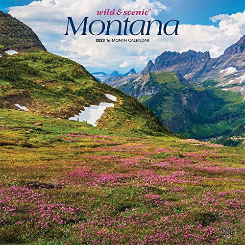 

Montana Wild & Scenic | 2023 12 x 24 Inch Monthly Square Wall Calendar | BrownTrout | USA United States of America Rocky Mountains State Nature