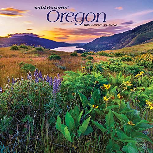 Beispielbild fr Oregon Wild Scenic | 2023 12 x 24 Inch Monthly Square Wall Calendar | BrownTrout | USA United States of America Pacific West State Nature zum Verkauf von Big River Books