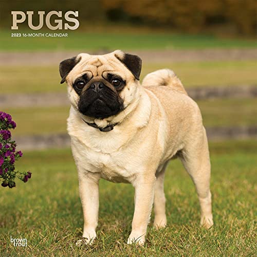 Pugs | 2023 12 x 24 Inch Monthly...