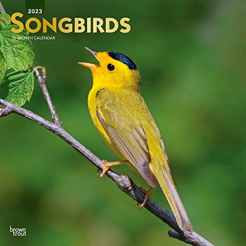 

Songbirds | 2023 12 x 24 Inch Monthly Square Wall Calendar | Foil Stamped Cover | BrownTrout | Wildlife Animals