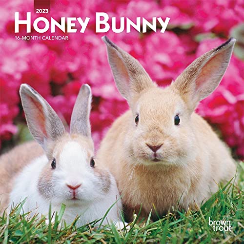 Stock image for Honey Bunny | 2023 7 x 14 Inch Monthly Mini Wall Calendar | BrownTrout | Domestic Small Cute Animals for sale by Revaluation Books