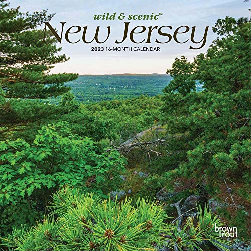 Stock image for New Jersey Wild & Scenic | 2023 7 x 14 Inch Monthly Mini Wall Calendar | BrownTrout | USA United States of America Northeast State Nature for sale by Revaluation Books
