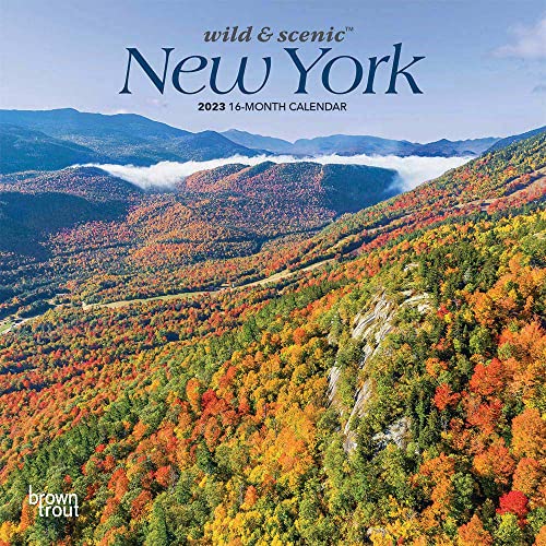 Stock image for New York Wild & Scenic | 2023 7 x 14 Inch Monthly Mini Wall Calendar | BrownTrout | USA United States of America Northeast State Nature for sale by Revaluation Books