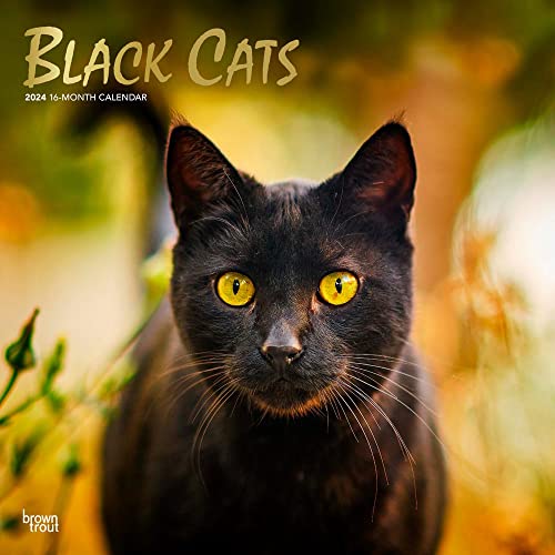 Beispielbild fr Black Cats | 2024 12 x 24 Inch Monthly Square Wall Calendar | Foil Stamped Cover | BrownTrout | Animals Kittens Feline zum Verkauf von Book Outpost
