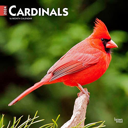 Cardinals 2024 Square