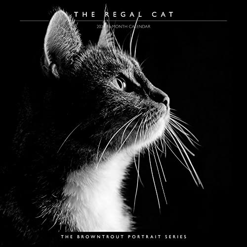 Cat, the Regal, the Browntrout...