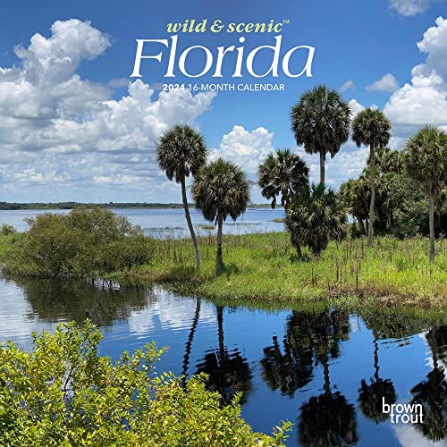 Stock image for Florida Wild & Scenic | 2024 7 x 14 Inch Monthly Mini Wall Calendar | BrownTrout | USA United States of America Southeast State Nature for sale by Book Deals