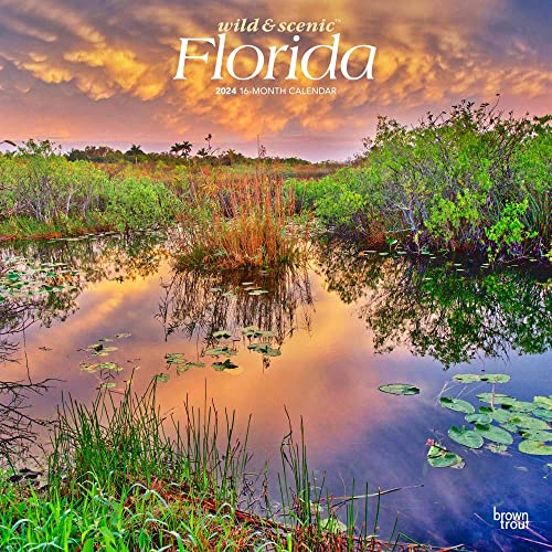 Florida Wild & Scenic | 2024 12 x 24 Inch Monthly Square Wall Calendar | BrownTrout | USA United States of America Southeast State Nature