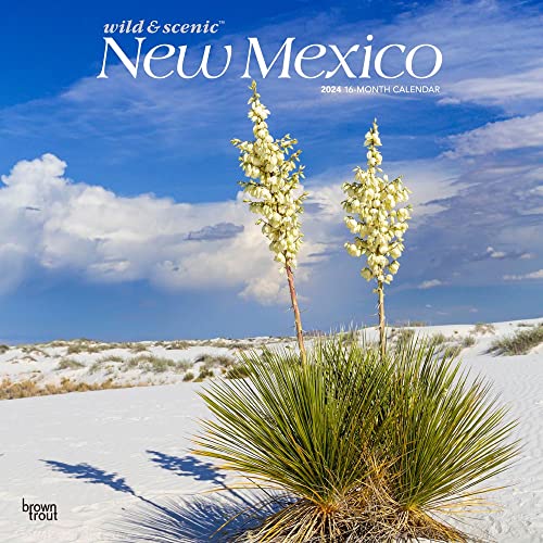 Imagen de archivo de New Mexico Wild & Scenic 2024 Square a la venta por Revaluation Books