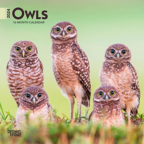Beispielbild fr Owls | 2024 7 x 14 Inch Monthly Mini Wall Calendar | BrownTrout | Wildlife Animals Birds zum Verkauf von Book Deals