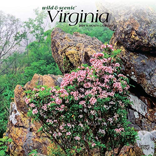 Virginia Wild and Scenic 2024 Square