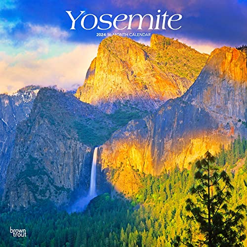 Stock image for Yosemite | 2024 12 x 24 Inch Monthly Square Wall Calendar | BrownTrout | USA United States of America National Park West Scenic Nature for sale by HPB-Blue