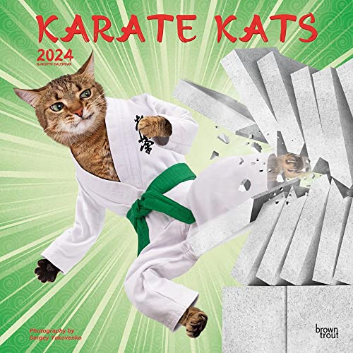 Beispielbild fr Karate Kats 2024 Square zum Verkauf von PBShop.store US