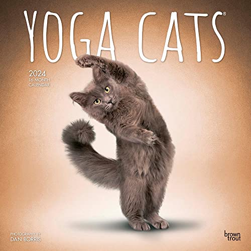 Yoga Cats OFFICIAL | 2024 12 x 24...