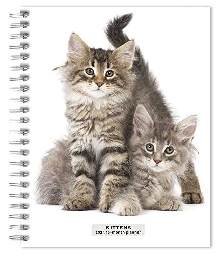 Beispielbild fr Kittens | 2024 6 x 7.75 Inch Spiral-Bound Wire-O Weekly Engagement Planner Calendar | New Full-Color Image Every Week | BrownTrout | Animals Cats Pets zum Verkauf von Book Outpost