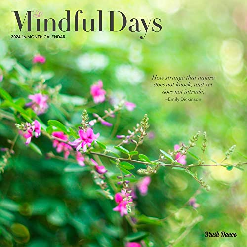 Mindful Days 2024 Square Brush...