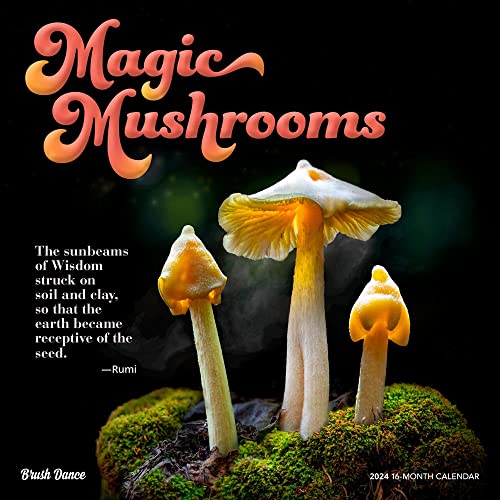 Magic Mushrooms 2024 Square Brush...