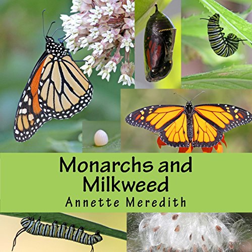Stock image for Monarchs and Milkweed for sale by ThriftBooks-Dallas
