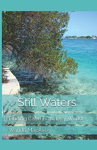 Stock image for Still Waters for sale by THE SAINT BOOKSTORE