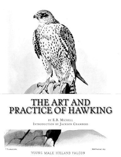 9781976336874: The Art and Practice of Hawking