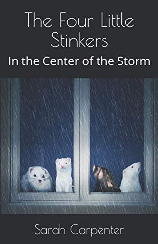 Stock image for The Four Little Stinkers: In the Center of the Storm for sale by Revaluation Books
