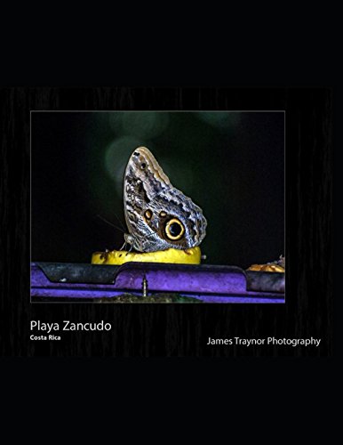 Stock image for Playa Zancudo: Costa Rica for sale by Revaluation Books