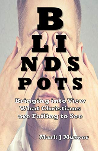 Stock image for Blind Spots: Bringing into View What Christians are Failing to See for sale by SecondSale