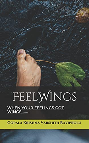 9781976950810: FeelWings: When your Feelings Got Wings......