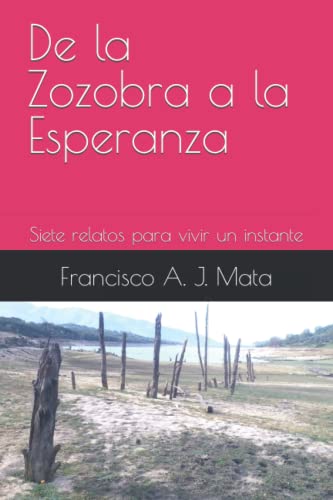 Stock image for De la Zozobra a la Esperanza: Siete relatos para vivir un instante for sale by Revaluation Books