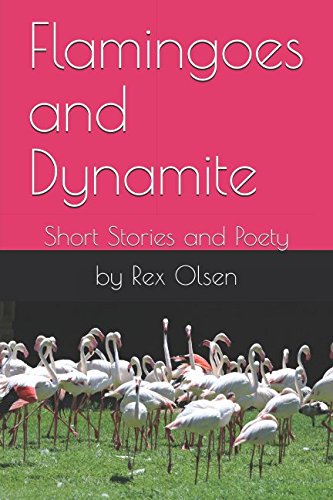 Stock image for Flamingoes and Dynamite: Short Stories and Poety for sale by Revaluation Books
