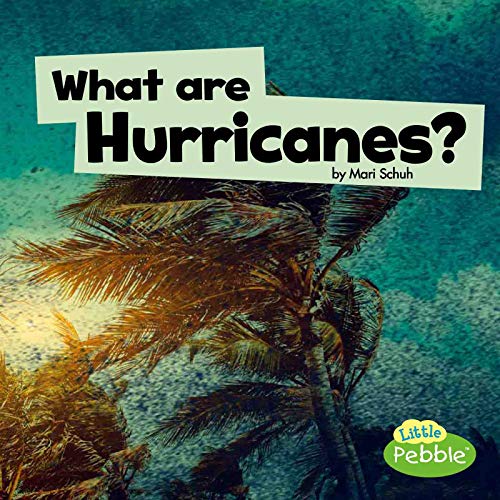 Beispielbild fr What Are Hurricanes? zum Verkauf von Better World Books